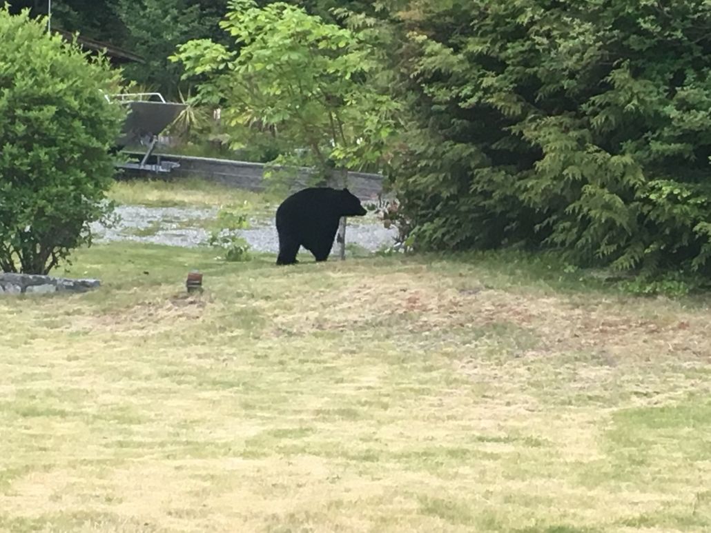 Eagle Nook Resort Ucluelet Buitenkant foto