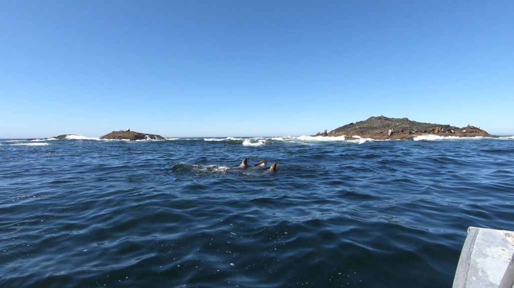 Eagle Nook Resort Ucluelet Buitenkant foto