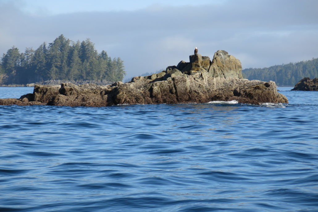 Eagle Nook Resort Ucluelet Buitenkant foto